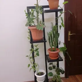 подставка для цветов