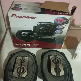 pioner kalonka arginal