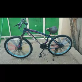 tigir gyssagly bmw welik 26lyk