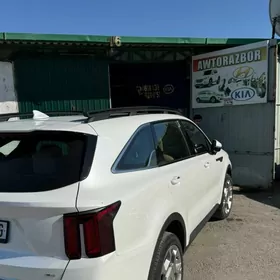 SORENTO TUCSON 16-24