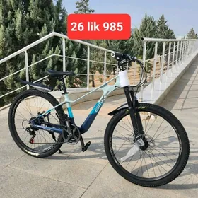 TIGIR KARŞOK HADINOK MASYN