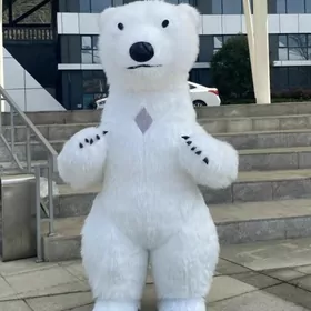 miska panda aka aỳy