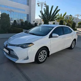 Toyota Corolla 2019