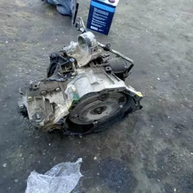 Maxima infiniti karopga