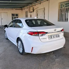 Toyota Corolla 2019