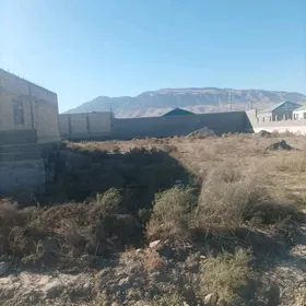 Gäwers Bereketli Äne