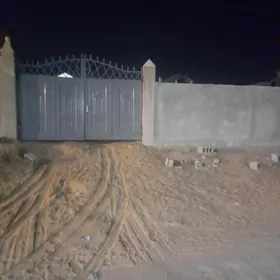 Anew Magtymguly satlyk pylan