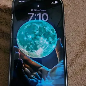 ıphone 12pro max
