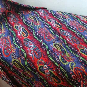 Гармошка + Койнеклер