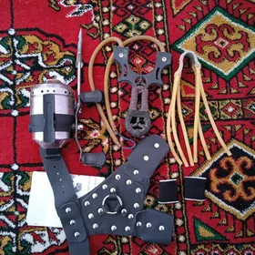 рыбами рогатки