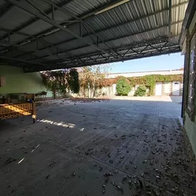 Arenda Ak altyn plan