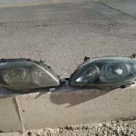 Corolla karolla fara