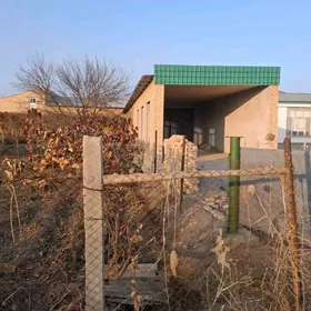 Danow etrabynyn niyazow d.b sa