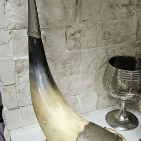 РОГ ДЕКОРАТИВНЫЙ