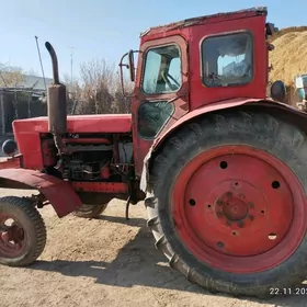 MTZ 80 1995