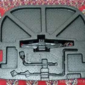 Palta Aziada bagaj nabor