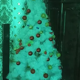 йолка арасса арзан берян