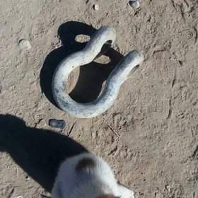 Серга Халка sergi halka