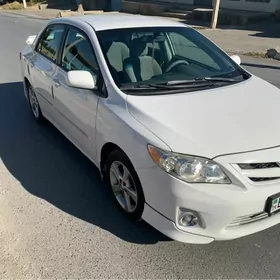 Toyota Corolla 2010