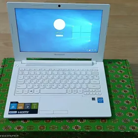 Lenovo S2030 Netbook