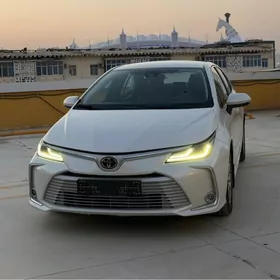 Toyota Corolla 2022