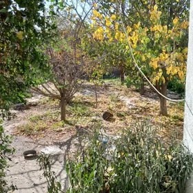 bagir mirewe 8sot 71500 sroçno