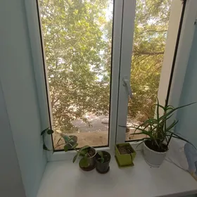 2 ком, центр