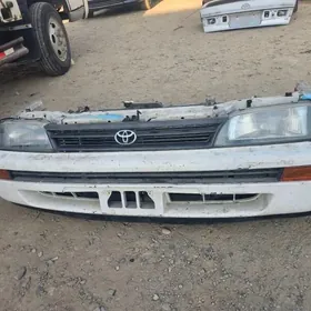 korolla 93 kelte morda