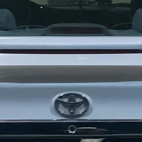 DUTY CAMRY SPOLER BANAN