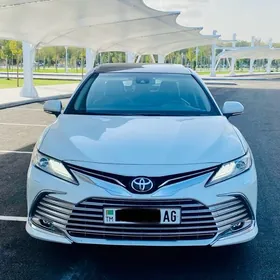 waditellyk Is gozleyan