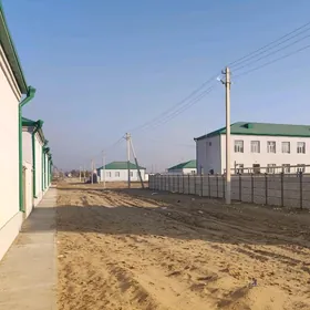 Şatlyk saherinde mellek