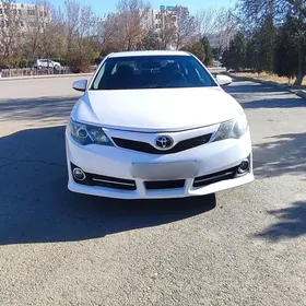 Toyota Camry 2014