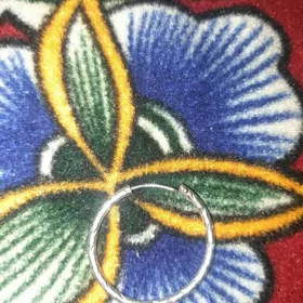 НАШЛИ  СЕРЁШКУ 1 ШТ