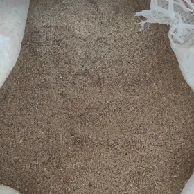 Towuk Bedene tayyn iym