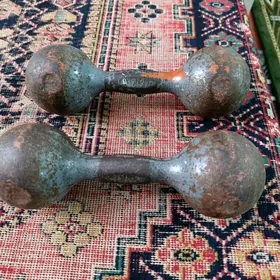 8kg daş Gantel