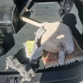 Sonata 2021 glusitel basgada b