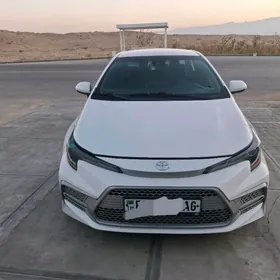 Toyota Corolla 2020