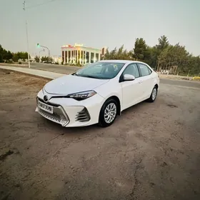Toyota Corolla 2019
