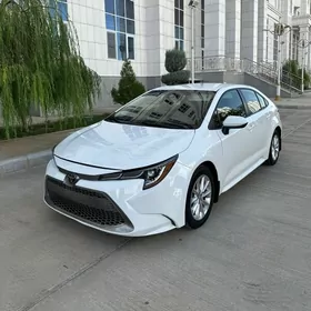 Toyota Corolla 2021