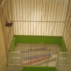 продается клетка