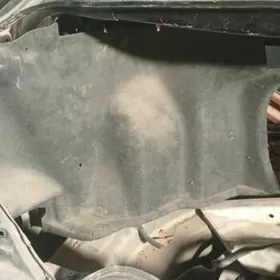 bagaz kece okuz kelle