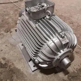 elektrodwigatel/generator