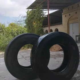 bez kamer 315/80R22,5 19,5 pilot