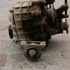 NIWA KAROBKA RAZDADKS