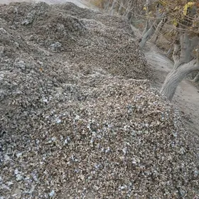 пахталы чангалак