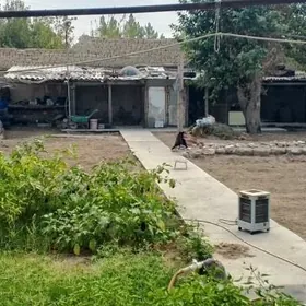 анев 9 камисар дача