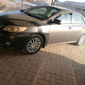 Toyota Corolla 2011