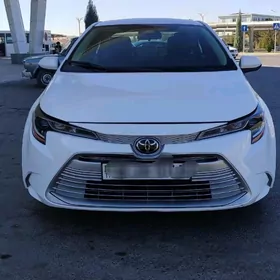 Toyota Corolla 2023