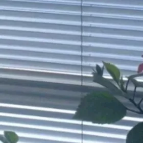 жалюз занавеска