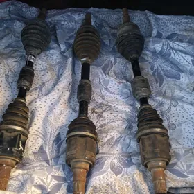 aziyada,gylych camry chep tarap granat